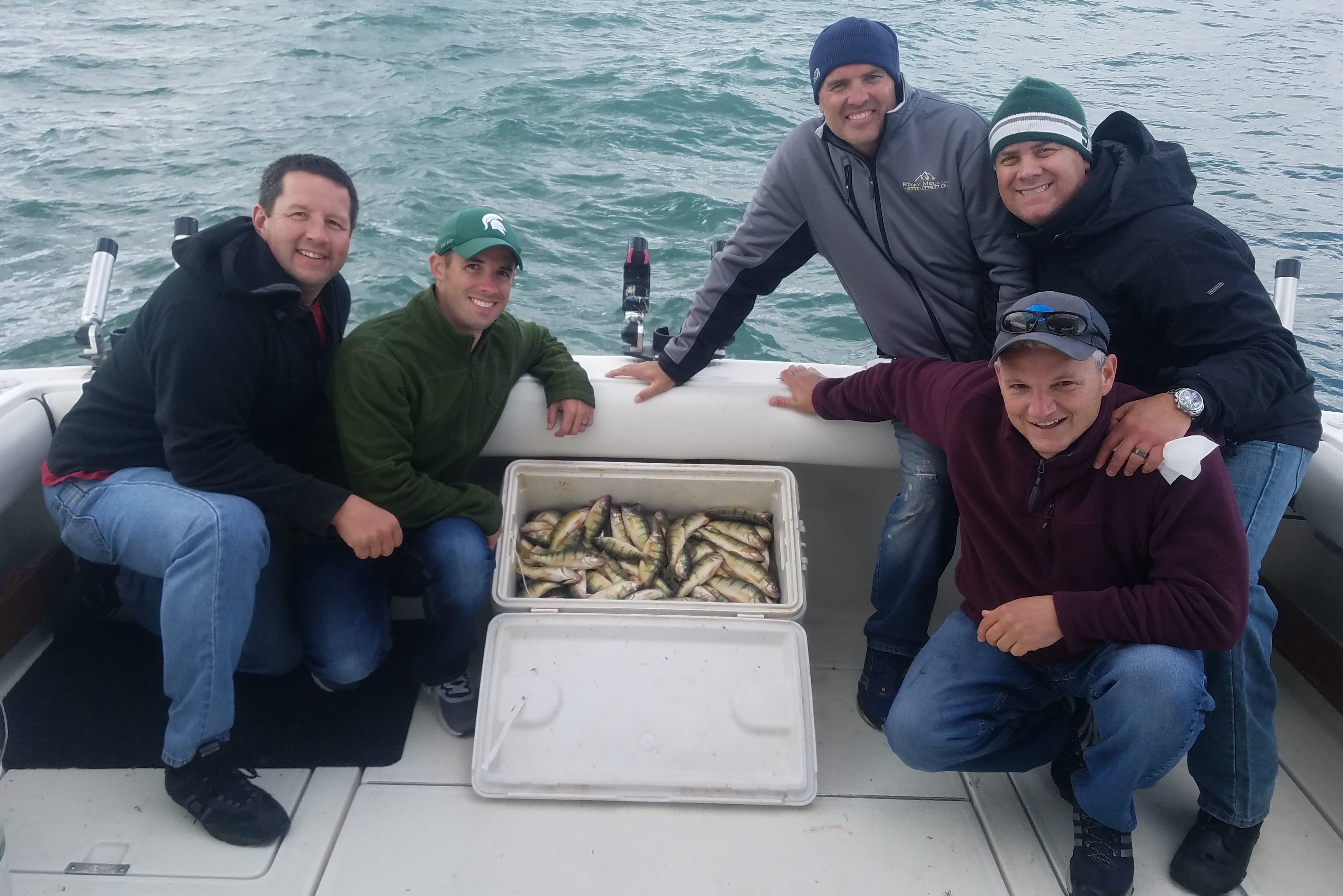 Great Yellow Perch Fishing Action